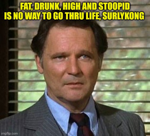 Stop me | FAT, DRUNK, HIGH AND STOOPID IS NO WAY TO GO THRU LIFE, SURLYKONG | image tagged in fat drunk and stupid,stop it get some help,animal house | made w/ Imgflip meme maker