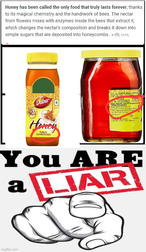 Memes of hypocrisy season 1: business; episode 1:Honey | image tagged in blank comic panel 1x3,liar,hypocrisy,honey | made w/ Imgflip meme maker