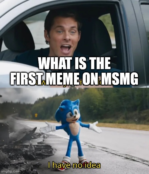 Sonic I have no idea | WHAT IS THE FIRST MEME ON MSMG | image tagged in sonic i have no idea | made w/ Imgflip meme maker