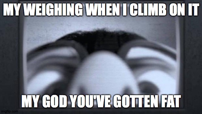 edna mode | MY WEIGHING WHEN I CLIMB ON IT; MY GOD YOU'VE GOTTEN FAT | image tagged in edna mode | made w/ Imgflip meme maker