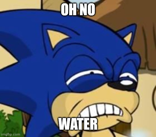 Scared sonic | OH NO WATER | image tagged in scared sonic | made w/ Imgflip meme maker