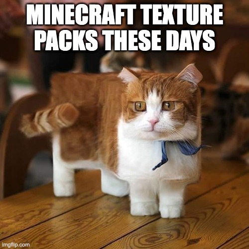 Minecraft texture packs | MINECRAFT TEXTURE PACKS THESE DAYS | image tagged in box cat,memes,minecraft,funny | made w/ Imgflip meme maker