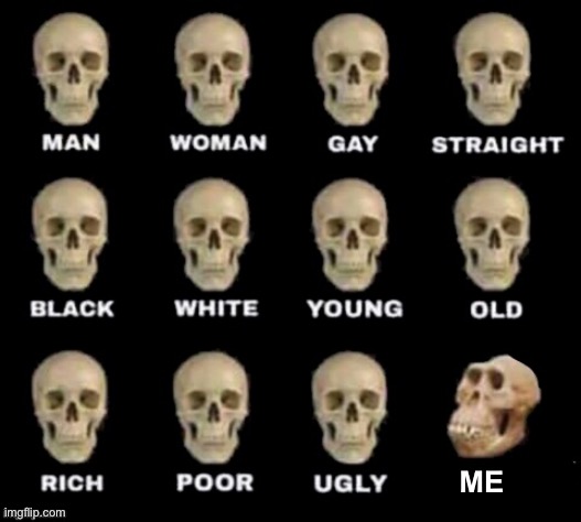 it's true | ME | image tagged in idiot skull,memes,self hate | made w/ Imgflip meme maker