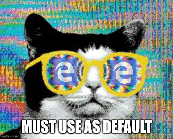 psychedelic cat | MUST USE AS DEFAULT | image tagged in psychedelic cat | made w/ Imgflip meme maker