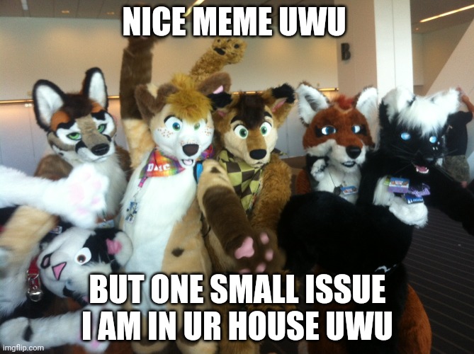 Furries | NICE MEME UWU BUT ONE SMALL ISSUE I AM IN UR HOUSE UWU | image tagged in furries | made w/ Imgflip meme maker