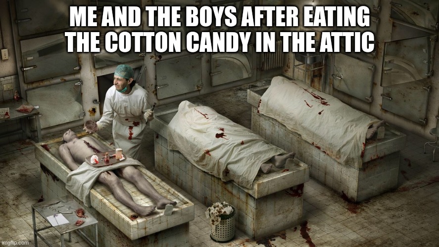 Image Title | ME AND THE BOYS AFTER EATING THE COTTON CANDY IN THE ATTIC | image tagged in morgue | made w/ Imgflip meme maker
