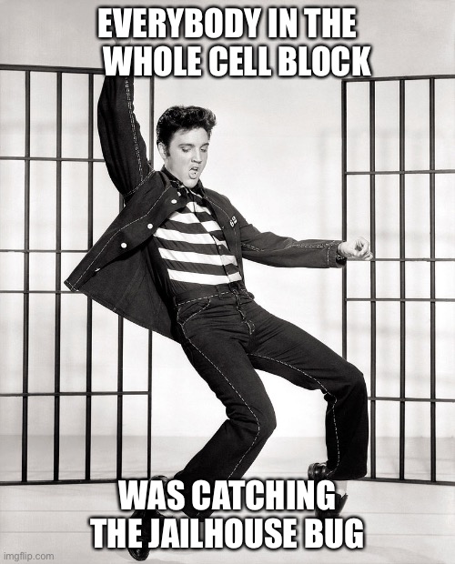 EVERYBODY IN THE    WHOLE CELL BLOCK; WAS CATCHING THE JAILHOUSE BUG | made w/ Imgflip meme maker