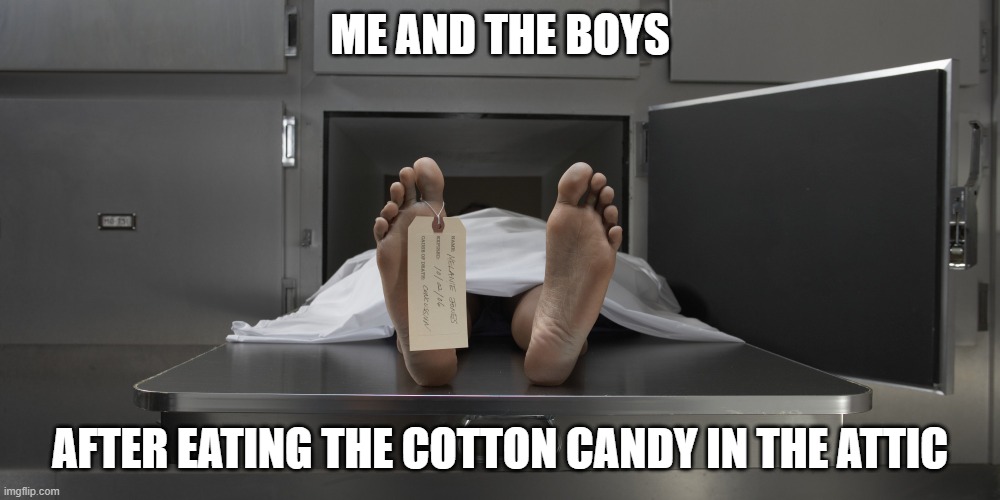 Image Title | ME AND THE BOYS; AFTER EATING THE COTTON CANDY IN THE ATTIC | image tagged in oh no | made w/ Imgflip meme maker