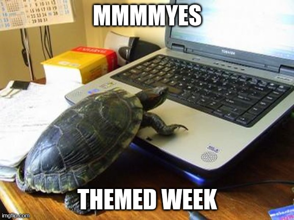 mmmyes very much   turtle | MMMMYES; THEMED WEEK | image tagged in turtle computer | made w/ Imgflip meme maker