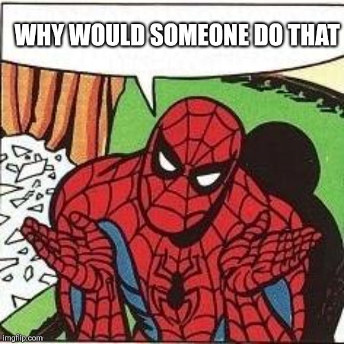 Spiderman Confusion | WHY WOULD SOMEONE DO THAT | image tagged in spiderman confusion | made w/ Imgflip meme maker