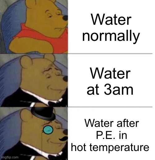 Water | Water normally; Water at 3am; Water after P.E. in hot temperature | image tagged in tuxedo winnie the pooh 3 panel,water,memes,funny | made w/ Imgflip meme maker