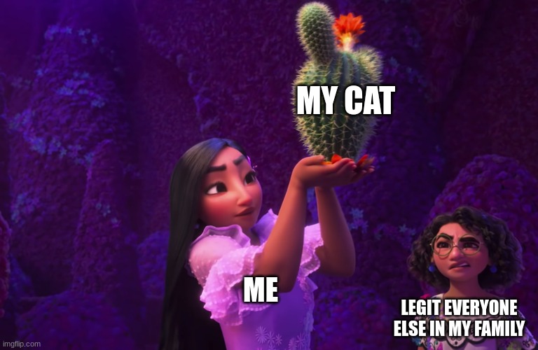 I love my cat | MY CAT; ME; LEGIT EVERYONE ELSE IN MY FAMILY | image tagged in mirabel and isabella | made w/ Imgflip meme maker