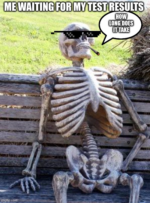 Why does it take so long to get the test results | HOW LONG DOES IT TAKE; ME WAITING FOR MY TEST RESULTS | image tagged in memes,waiting skeleton,waiting,annoyed | made w/ Imgflip meme maker