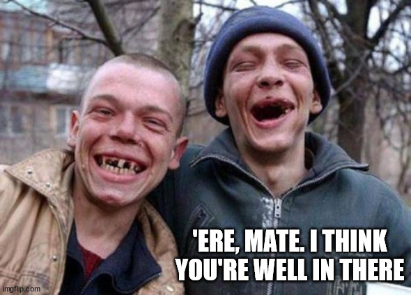 Ugly Twins Meme | 'ERE, MATE. I THINK YOU'RE WELL IN THERE | image tagged in memes,ugly twins | made w/ Imgflip meme maker