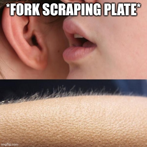 Whisper and Goosebumps | *FORK SCRAPING PLATE* | image tagged in whisper and goosebumps | made w/ Imgflip meme maker