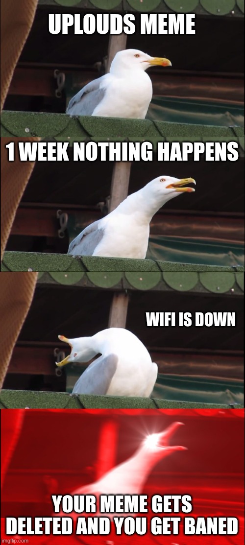 Inhaling Seagull Meme | UPLOUDS MEME; 1 WEEK NOTHING HAPPENS; WIFI IS DOWN; YOUR MEME GETS DELETED AND YOU GET BANED | image tagged in memes,inhaling seagull | made w/ Imgflip meme maker