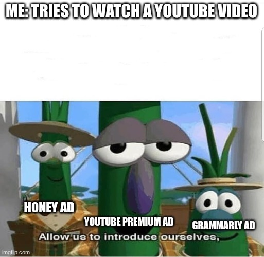 Like i'm just tryna watch some anime coldest moments bruh | ME: TRIES TO WATCH A YOUTUBE VIDEO; HONEY AD; YOUTUBE PREMIUM AD; GRAMMARLY AD | image tagged in allow us to introduce ourselves | made w/ Imgflip meme maker