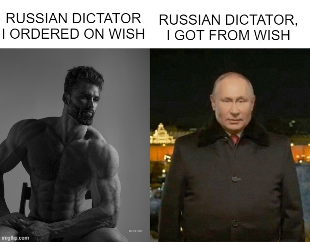 RUSSIAN DICTATOR, I GOT FROM WISH; RUSSIAN DICTATOR I ORDERED ON WISH | image tagged in giga chad | made w/ Imgflip meme maker