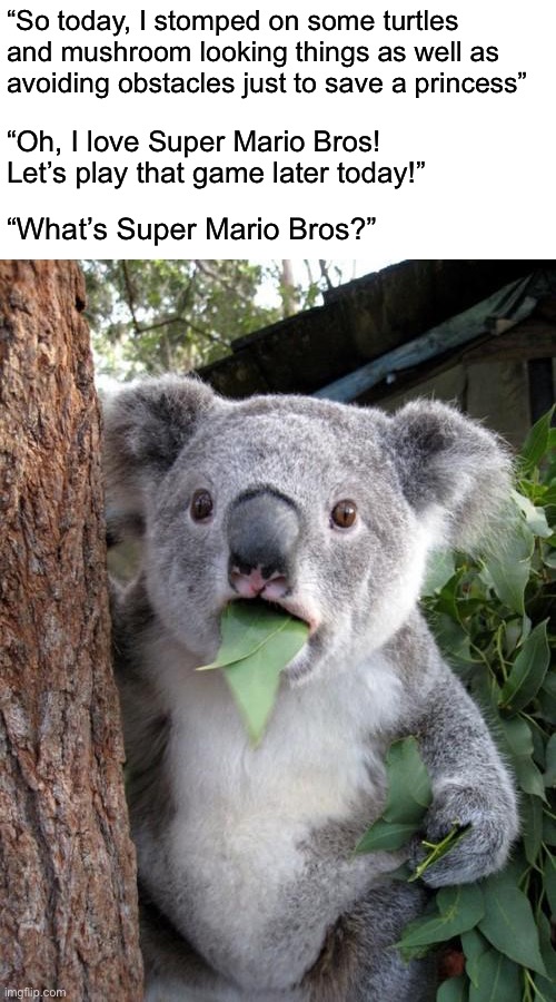 Surprised Koala | “So today, I stomped on some turtles and mushroom looking things as well as avoiding obstacles just to save a princess”; “Oh, I love Super Mario Bros! Let’s play that game later today!”; “What’s Super Mario Bros?” | image tagged in memes,surprised koala,super mario bros | made w/ Imgflip meme maker