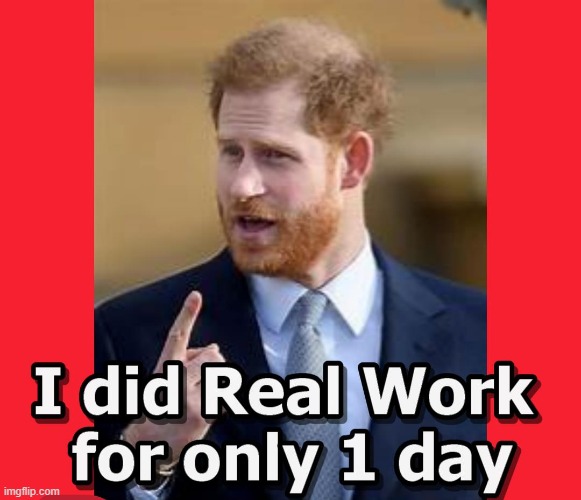Prince Harry a Working Fool ? | image tagged in harry,meghan,royals | made w/ Imgflip meme maker