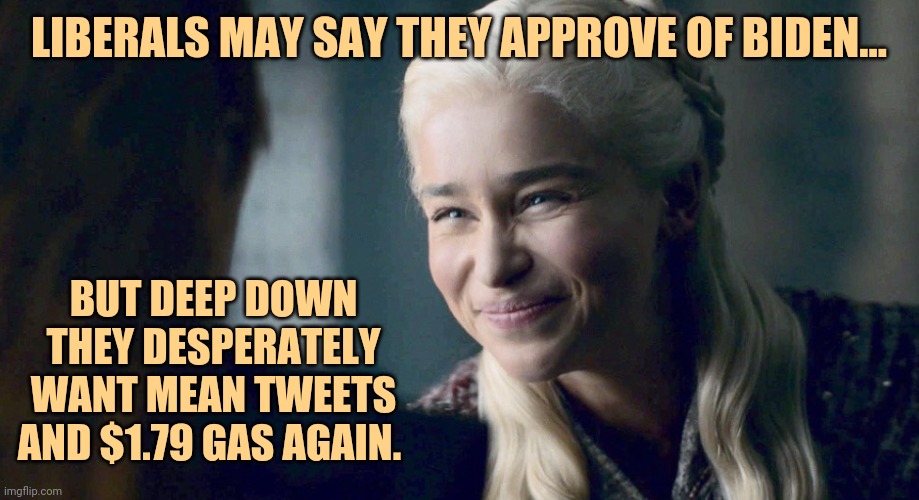 You can lie and say I'm wrong. | LIBERALS MAY SAY THEY APPROVE OF BIDEN... BUT DEEP DOWN THEY DESPERATELY WANT MEAN TWEETS AND $1.79 GAS AGAIN. | image tagged in memes | made w/ Imgflip meme maker