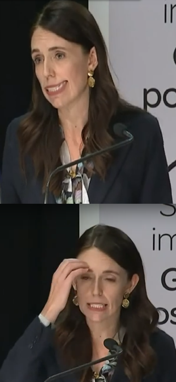 High Quality New Zealand Minister Blank Meme Template
