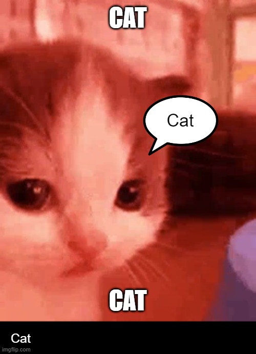 Cat | CAT; Cat; CAT; Cat | image tagged in cats,cat,cute cat,cute,funny cats,memes | made w/ Imgflip meme maker