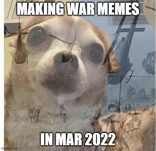 Now let me see your WAR FACE | MAKING WAR MEMES; IN MAR 2022 | image tagged in ptsd chihuahua,political meme | made w/ Imgflip meme maker