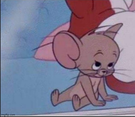 jerry cute | image tagged in jerry cute | made w/ Imgflip meme maker