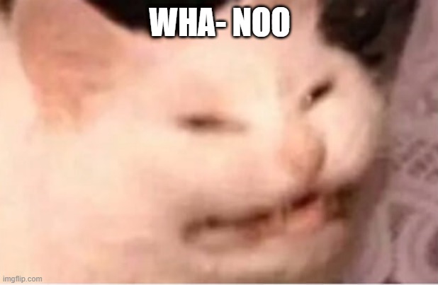 e w | WHA- NOO | image tagged in e w | made w/ Imgflip meme maker