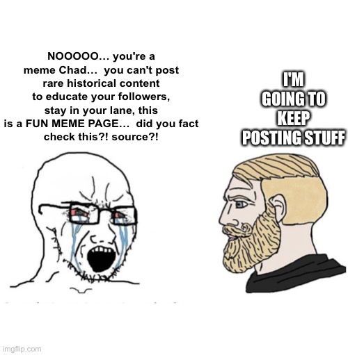 I'm going to keep posting stuff | NOOOOO… you're a meme Chad…  you can't post rare historical content to educate your followers, stay in your lane, this is a FUN MEME PAGE…  did you fact
check this?! source?! I'M GOING TO KEEP POSTING STUFF | image tagged in soyboy vs yes chad,memes | made w/ Imgflip meme maker