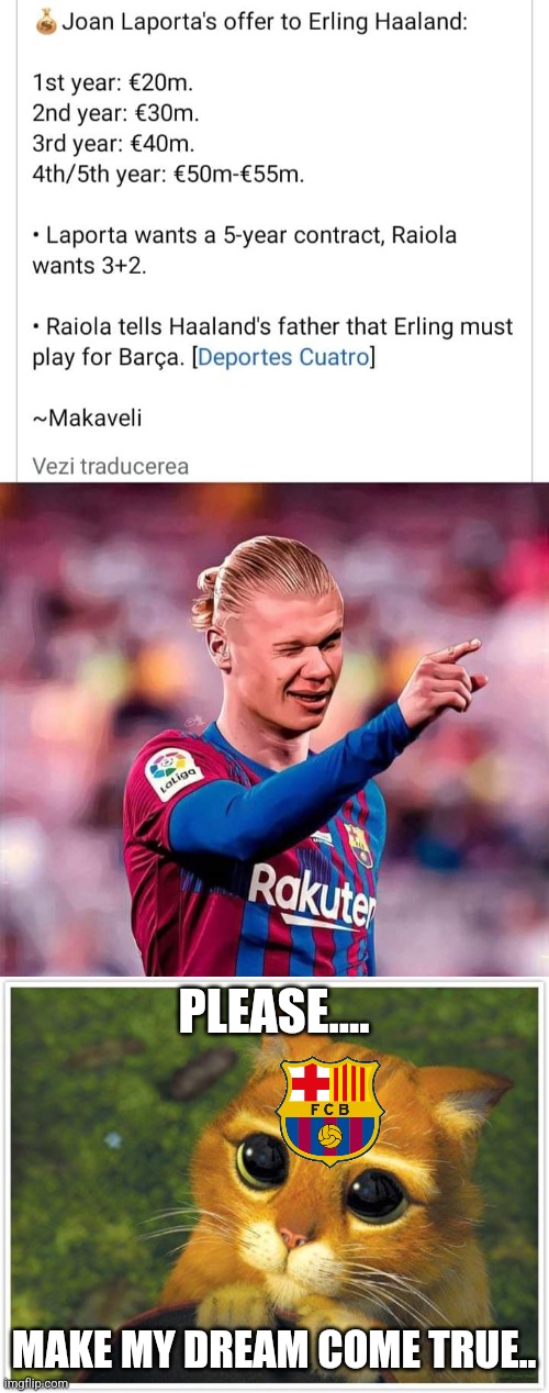 Haaland to Barca? | PLEASE.... MAKE MY DREAM COME TRUE.. | image tagged in memes,shrek cat,barcelona,haaland,futbol | made w/ Imgflip meme maker