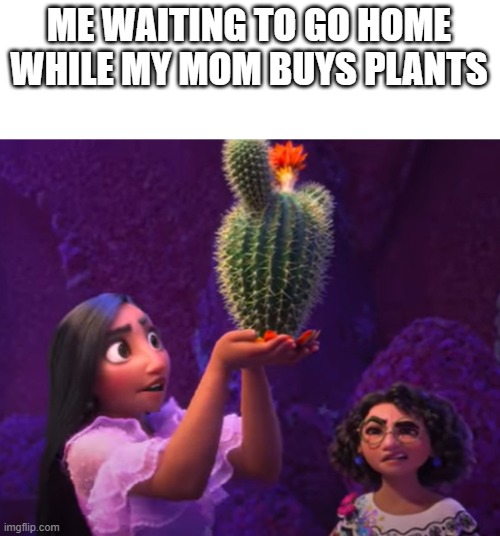 waiting for mom | ME WAITING TO GO HOME WHILE MY MOM BUYS PLANTS | image tagged in encanto meme,funny,meme | made w/ Imgflip meme maker