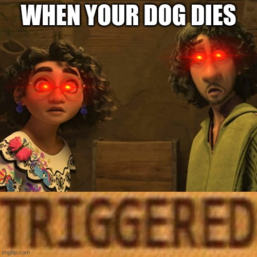 Triggered | WHEN YOUR DOG DIES | image tagged in we don't talk about bruno,triggered | made w/ Imgflip meme maker