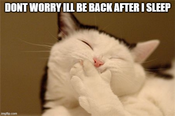 cat laughing | DONT WORRY ILL BE BACK AFTER I SLEEP | image tagged in cat laughing | made w/ Imgflip meme maker