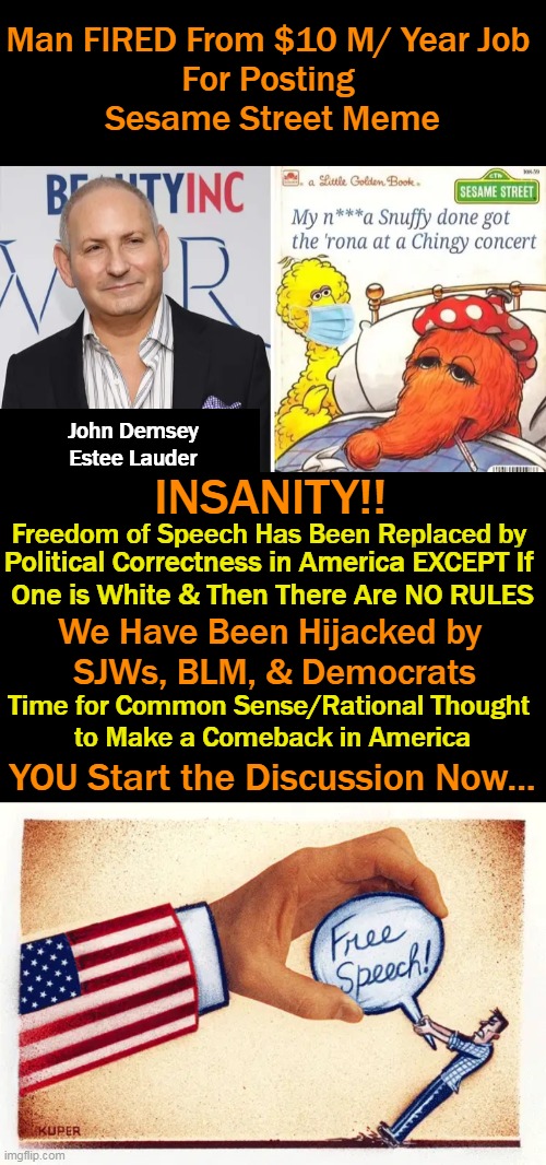Your Feelings of Being Offended Do Not Trump Our First Amendment Right of Freedom of Speech | Man FIRED From $10 M/ Year Job 
For Posting 
Sesame Street Meme; John Demsey 

Estee Lauder; INSANITY!! Freedom of Speech Has Been Replaced by; Political Correctness in America EXCEPT If 
One is White & Then There Are NO RULES; We Have Been Hijacked by 
SJWs, BLM, & Democrats; Time for Common Sense/Rational Thought 
to Make a Comeback in America; YOU Start the Discussion Now... | image tagged in politics,first amendment,feelings,freedom of speech,democrats,blm and sjw | made w/ Imgflip meme maker