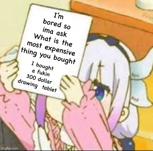 Kanna holding a sign. | I’m bored so ima ask
What is the most expensive thing you bought; I bought a fukin 300 dollar drawing  tablet | image tagged in kanna holding a sign | made w/ Imgflip meme maker