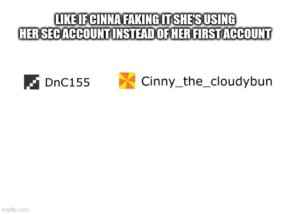 Blank White Template | LIKE IF CINNA FAKING IT SHE'S USING HER SEC ACCOUNT INSTEAD OF HER FIRST ACCOUNT | image tagged in blank white template | made w/ Imgflip meme maker