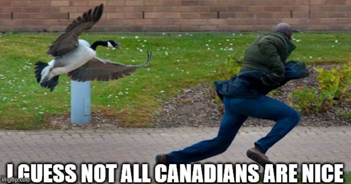 Canadians not nice | image tagged in change my mind,memes | made w/ Imgflip meme maker