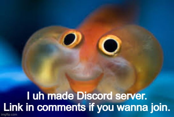 Ya'll don't care I know -‿- |  I uh made Discord server. Link in comments if you wanna join. | image tagged in happy fish,discord | made w/ Imgflip meme maker