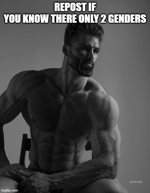 Giga Chad | REPOST IF YOU KNOW THERE ONLY 2 GENDERS | image tagged in giga chad | made w/ Imgflip meme maker