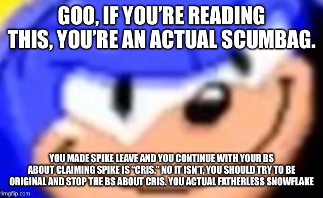 Sonic smile | GOO, IF YOU’RE READING THIS, YOU’RE AN ACTUAL SCUMBAG. YOU MADE SPIKE LEAVE AND YOU CONTINUE WITH YOUR BS ABOUT CLAIMING SPIKE IS “CRIS.” NO IT ISN’T, YOU SHOULD TRY TO BE ORIGINAL AND STOP THE BS ABOUT CRIS. YOU ACTUAL FATHERLESS SNOWFLAKE | image tagged in sonic smile | made w/ Imgflip meme maker