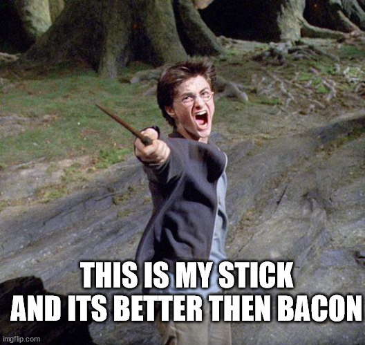 Harry potter |  THIS IS MY STICK AND ITS BETTER THEN BACON | image tagged in harry potter | made w/ Imgflip meme maker