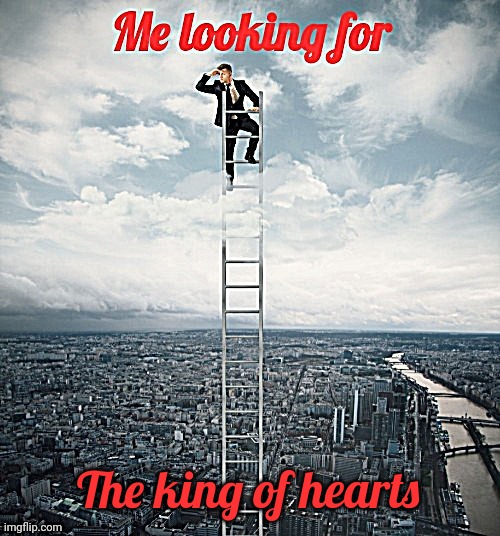 Searching | The king of hearts | image tagged in searching | made w/ Imgflip meme maker