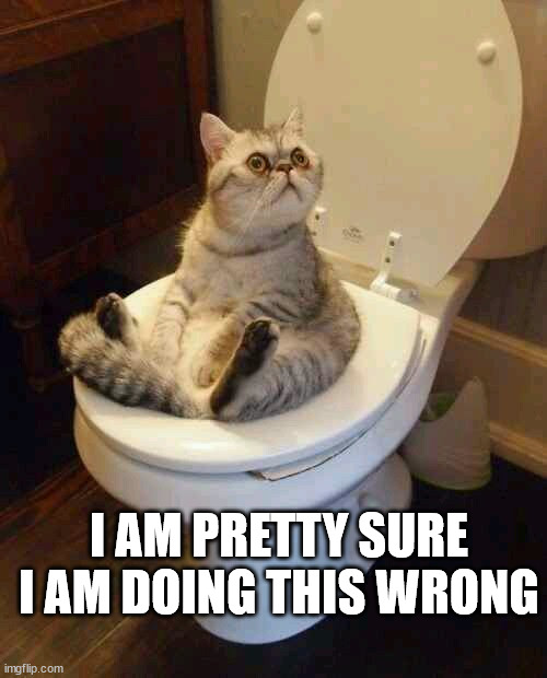 Toilet cat | I AM PRETTY SURE I AM DOING THIS WRONG | image tagged in toilet cat | made w/ Imgflip meme maker