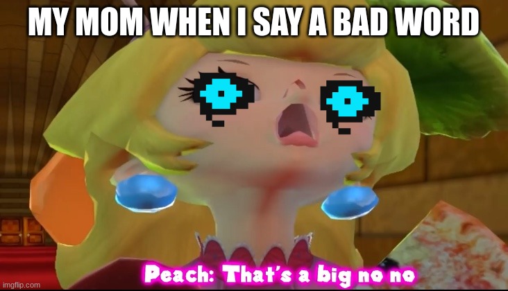 That’s a big no no | MY MOM WHEN I SAY A BAD WORD | image tagged in that s a big no no | made w/ Imgflip meme maker