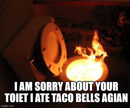 toilet fire | I AM SORRY ABOUT YOUR TOIET I ATE TACO BELLS AGIAN | image tagged in toilet fire | made w/ Imgflip meme maker