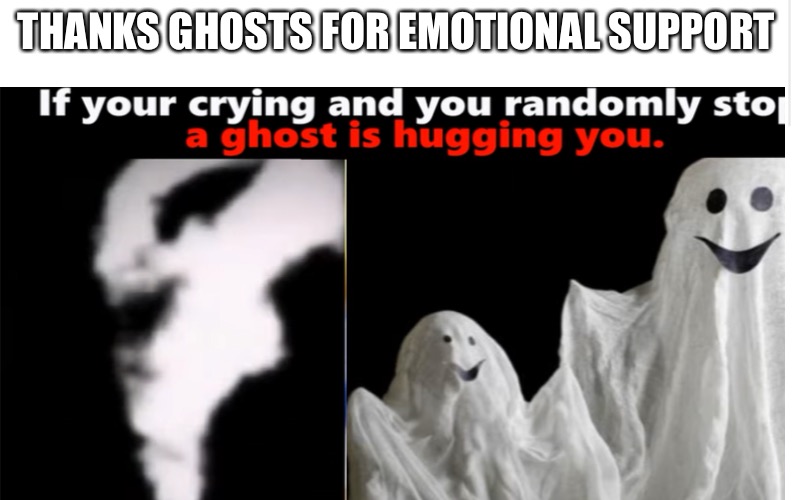 Thanks Ghosts for Emotional Support |  THANKS GHOSTS FOR EMOTIONAL SUPPORT | image tagged in fun stream,funny,memes,facts | made w/ Imgflip meme maker