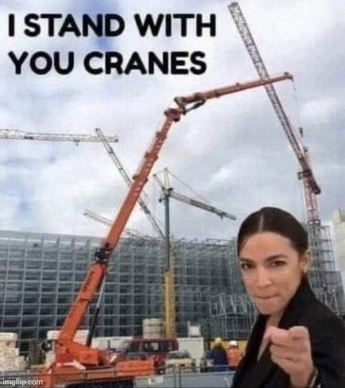 or isnit the birds? | image tagged in crazy alexandria ocasio-cortez,ukraine | made w/ Imgflip meme maker