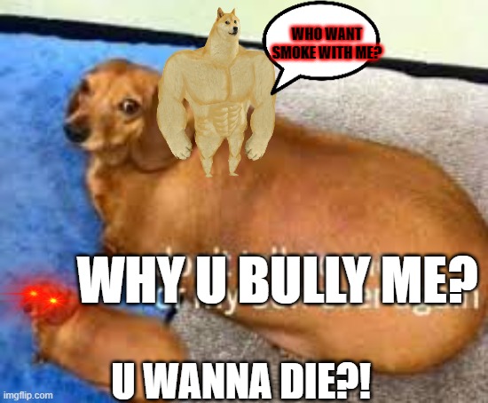 FaT dOg AnD tHe BuFf DoGe | WHO WANT SMOKE WITH ME? WHY U BULLY ME? U WANNA DIE?! | image tagged in fat dog,funny,animals | made w/ Imgflip meme maker